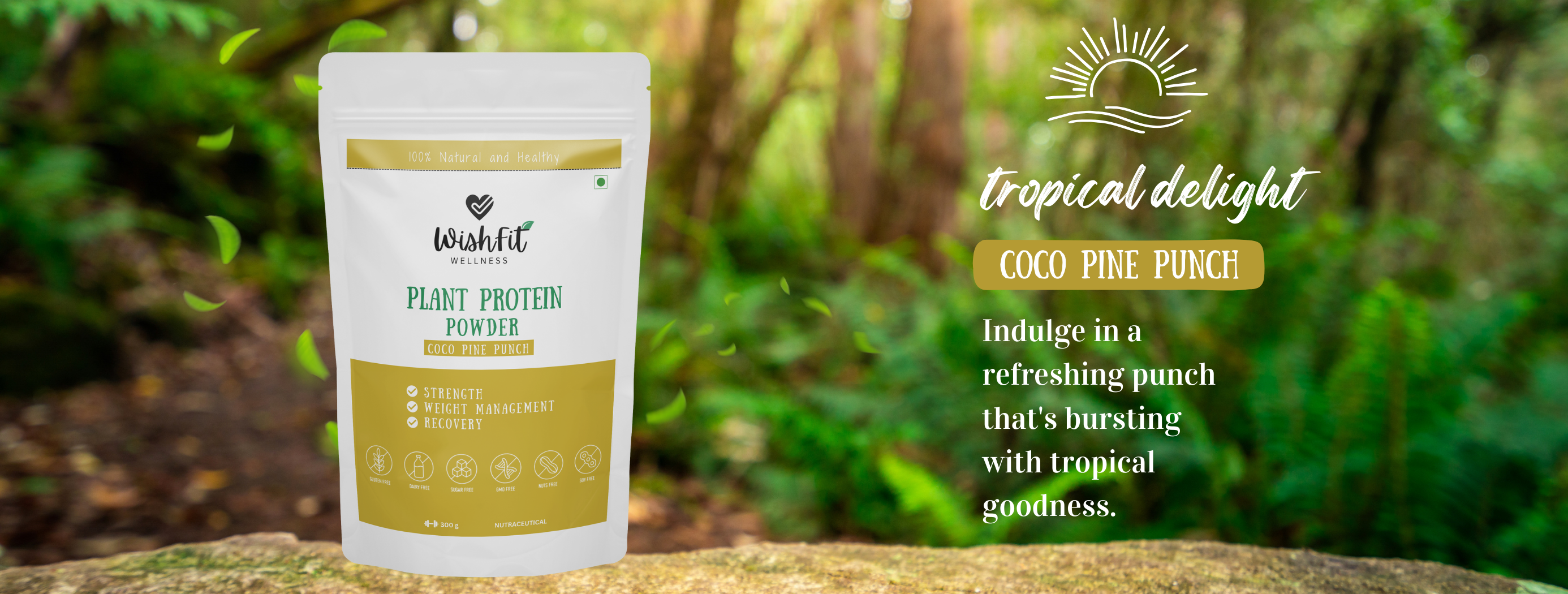 Plant Protien-Pineapple Flavour