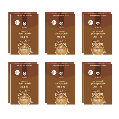 On-the-Go Plant Protein Sachets | Single Servings (6, 12, 18 Packs) - Wishfit Wellness