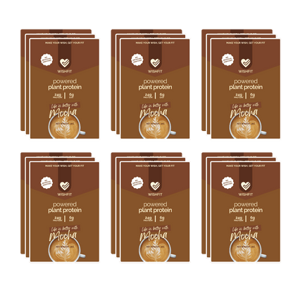 On-the-Go Plant Protein Sachets | Single Servings (6, 12, 18 Packs) - Wishfit Wellness