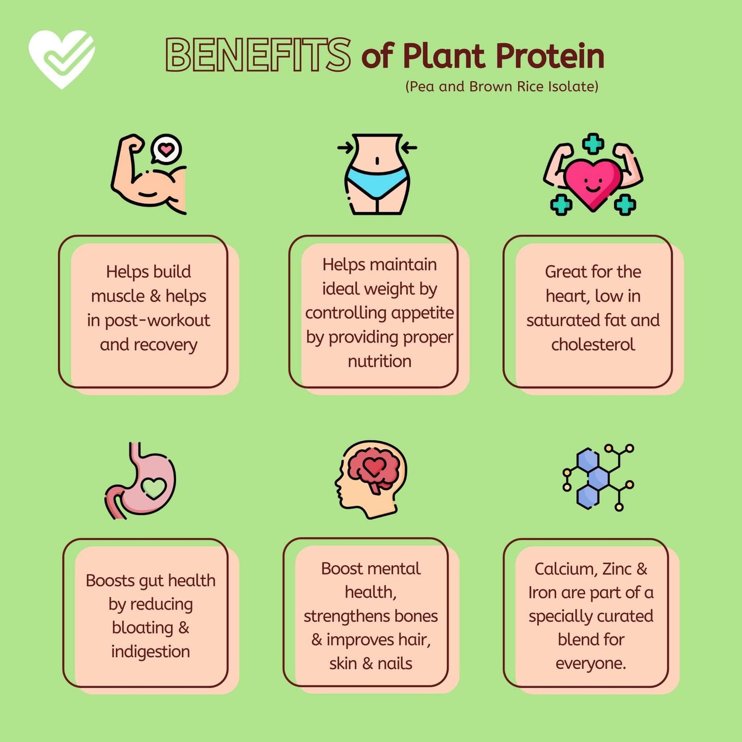 WishFit Plant Protein - Mango Bliss